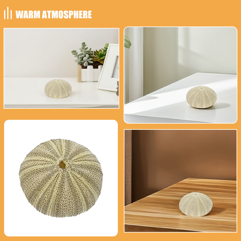 18 stuks zee-egelschelpen, vaa - Art Craft Vase recensie en prijs